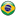 Brazil flag