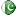 Pakistan flag