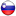 Slovenia flag